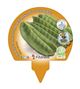 Pack Tirabeques 6 Ud. Pisum sativum - 02031089 (3)