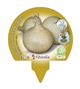 Pack Cebolla De Fuentes 12 Ud. Allium cepa - 02031027 (3)