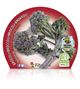 Brócoli Sprouting M-10,5 Brassica oleracea var. italica - 02025148 (2)