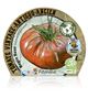 Tomate Negro Ruso M-10,5 Solanum lycopersicum - 02033002 (2)