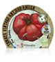 Tomate Feo Tudela M-10,5 Solanum lycopersicum - 02033007 (2)
