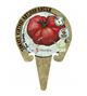 Tomate Feo Tudela M-10,5 Solanum lycopersicum - 02033007 (3)