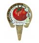 Tomate Rosa de Berna M-10,5 Solanum lycopersicum - 02033008 (3)