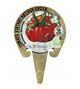 Tomate Costoluto Genovese M-10,5 Solanum lycopersicum - 02033009 (3)