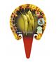 Picante Hot Banana M-10,5 Capsicum annuum - 02028013 (3)